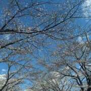 ヒメ日記 2025/04/05 08:37 投稿 なずな 素人系イメージSOAP彼女感大宮館