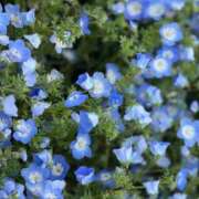 ヒメ日記 2025/05/09 11:54 投稿 なずな 素人系イメージSOAP彼女感大宮館