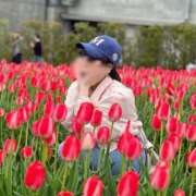 ヒメ日記 2025/05/10 10:02 投稿 なずな 素人系イメージSOAP彼女感大宮館