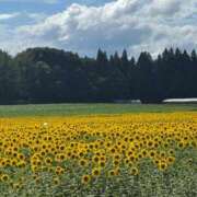 ヒメ日記 2025/08/20 09:45 投稿 なずな 素人系イメージSOAP彼女感大宮館