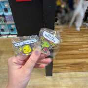 ヒメ日記 2025/10/13 06:35 投稿 なずな 素人系イメージSOAP彼女感大宮館