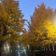 ヒメ日記 2025/11/20 17:52 投稿 なずな 素人系イメージSOAP彼女感大宮館