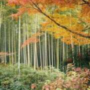 なずな 旅行✈️ 素人系イメージSOAP彼女感大宮館