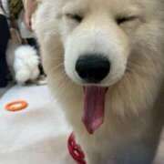 なずな 成人の日👘 素人系イメージSOAP彼女感大宮館