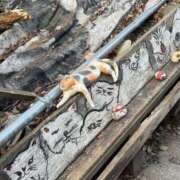 ヒメ日記 2026/02/28 07:26 投稿 なずな 素人系イメージSOAP彼女感大宮館