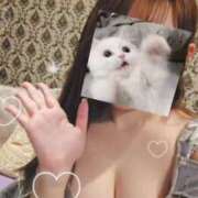 ヒメ日記 2025/04/15 11:13 投稿 ゆりか SOPHIA（ソフィア）