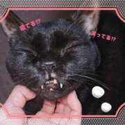 ヒメ日記 2024/12/15 12:05 投稿 れんか 熟女家 東大阪店（布施・長田）