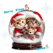 ヒメ日記 2024/12/24 10:48 投稿 れんか 熟女家 東大阪店（布施・長田）