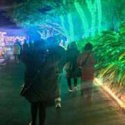 ヒメ日記 2025/02/16 14:19 投稿 ミサキ キャンディ(鹿児島)