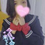 ヒメ日記 2025/02/25 10:48 投稿 ミサキ キャンディ(鹿児島)