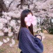 ヒメ日記 2025/04/04 15:46 投稿 ましろ luxury spa 風雅