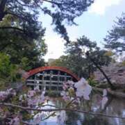 ヒメ日記 2025/04/04 23:33 投稿 そら ヴィヴィッド・クルーマダム・セカンドヴァージン十三店