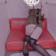 ヒメ日記 2025/11/14 15:36 投稿 そら ヴィヴィッド・クルーマダム・セカンドヴァージン十三店