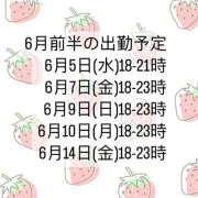 ヒメ日記 2024/06/05 20:27 投稿 しちみ 神田はっち