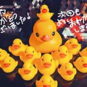 ヒメ日記 2026/03/07 19:08 投稿 いちな ドM女学園大阪