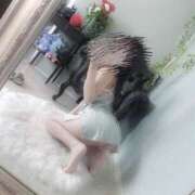 ヒメ日記 2025/03/27 15:30 投稿 新人  みふゆ DIVA-ディーバ-【DIVAグループ】