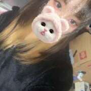 ヒメ日記 2025/02/19 02:02 投稿 れい 奥様プリモ