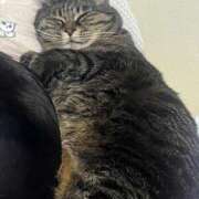 ヒメ日記 2025/03/05 23:02 投稿 れい 奥様プリモ