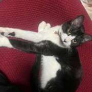 ヒメ日記 2025/03/14 15:09 投稿 れい 奥様プリモ