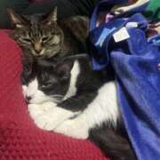 ヒメ日記 2025/03/21 21:19 投稿 れい 奥様プリモ