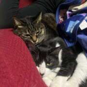 ヒメ日記 2025/03/22 14:09 投稿 れい 奥様プリモ