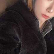 ヒメ日記 2025/04/03 16:19 投稿 れい 奥様プリモ