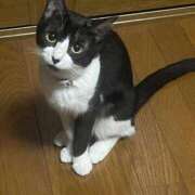 ヒメ日記 2025/07/11 15:19 投稿 れい 奥様プリモ