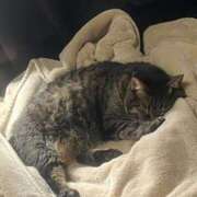 ヒメ日記 2025/08/19 14:09 投稿 れい 奥様プリモ