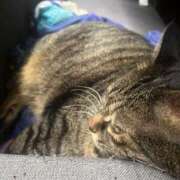 ヒメ日記 2025/09/07 11:29 投稿 れい 奥様プリモ