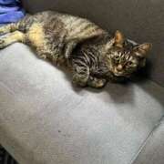 ヒメ日記 2025/10/03 14:09 投稿 れい 奥様プリモ