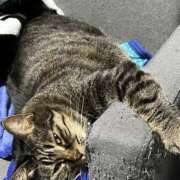 ヒメ日記 2025/11/23 14:19 投稿 れい 奥様プリモ