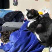 ヒメ日記 2025/12/05 14:19 投稿 れい 奥様プリモ