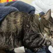 ヒメ日記 2026/02/26 12:19 投稿 れい 奥様プリモ