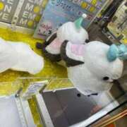 ヒメ日記 2026/03/01 11:19 投稿 れい 奥様プリモ