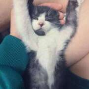 ヒメ日記 2026/04/09 16:09 投稿 れい 奥様プリモ