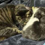 ヒメ日記 2026/04/16 11:20 投稿 れい 奥様プリモ