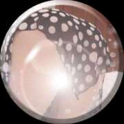 ヒメ日記 2025/03/28 23:46 投稿 高嶋淳 五十路マダム 岐阜店