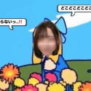 ヒメ日記 2025/06/05 12:05 投稿 ♡シズカ MEGA PALACE(メガパレス）