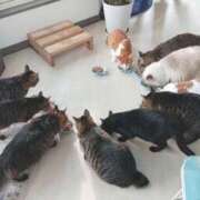 ヒメ日記 2025/06/10 14:20 投稿 ♡シズカ MEGA PALACE(メガパレス）