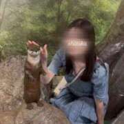 ヒメ日記 2025/07/13 19:11 投稿 ♡シズカ MEGA PALACE(メガパレス）