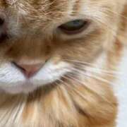 ♡シズカ 🙇‍♀️ MEGA PALACE(メガパレス）