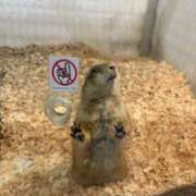 ♡シズカ うわーん😖😖😖 MEGA PALACE(メガパレス）