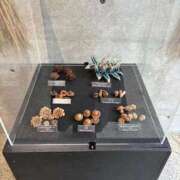 ヒメ日記 2025/12/28 00:18 投稿 ♡シズカ MEGA PALACE(メガパレス）