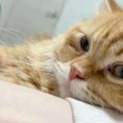 ヒメ日記 2026/01/10 00:43 投稿 ♡シズカ MEGA PALACE(メガパレス）