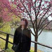 ヒメ日記 2026/03/29 21:33 投稿 ♡シズカ MEGA PALACE(メガパレス）