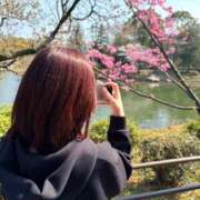 ヒメ日記 2026/03/30 00:33 投稿 ♡シズカ MEGA PALACE(メガパレス）