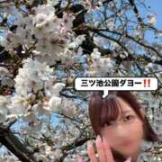 ヒメ日記 2026/04/03 08:33 投稿 ♡シズカ MEGA PALACE(メガパレス）