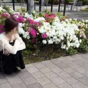 ヒメ日記 2026/05/30 15:23 投稿 ♡シズカ MEGA PALACE(メガパレス）