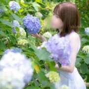 ヒメ日記 2026/06/19 12:21 投稿 ♡シズカ MEGA PALACE(メガパレス）
