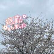 ヒメ日記 2024/04/12 03:19 投稿 むぎ abc＋